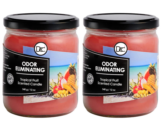Dianne's Custom Candles tropical fruit two-pack candle jar with long-lasting fragrance for fresh rooms.