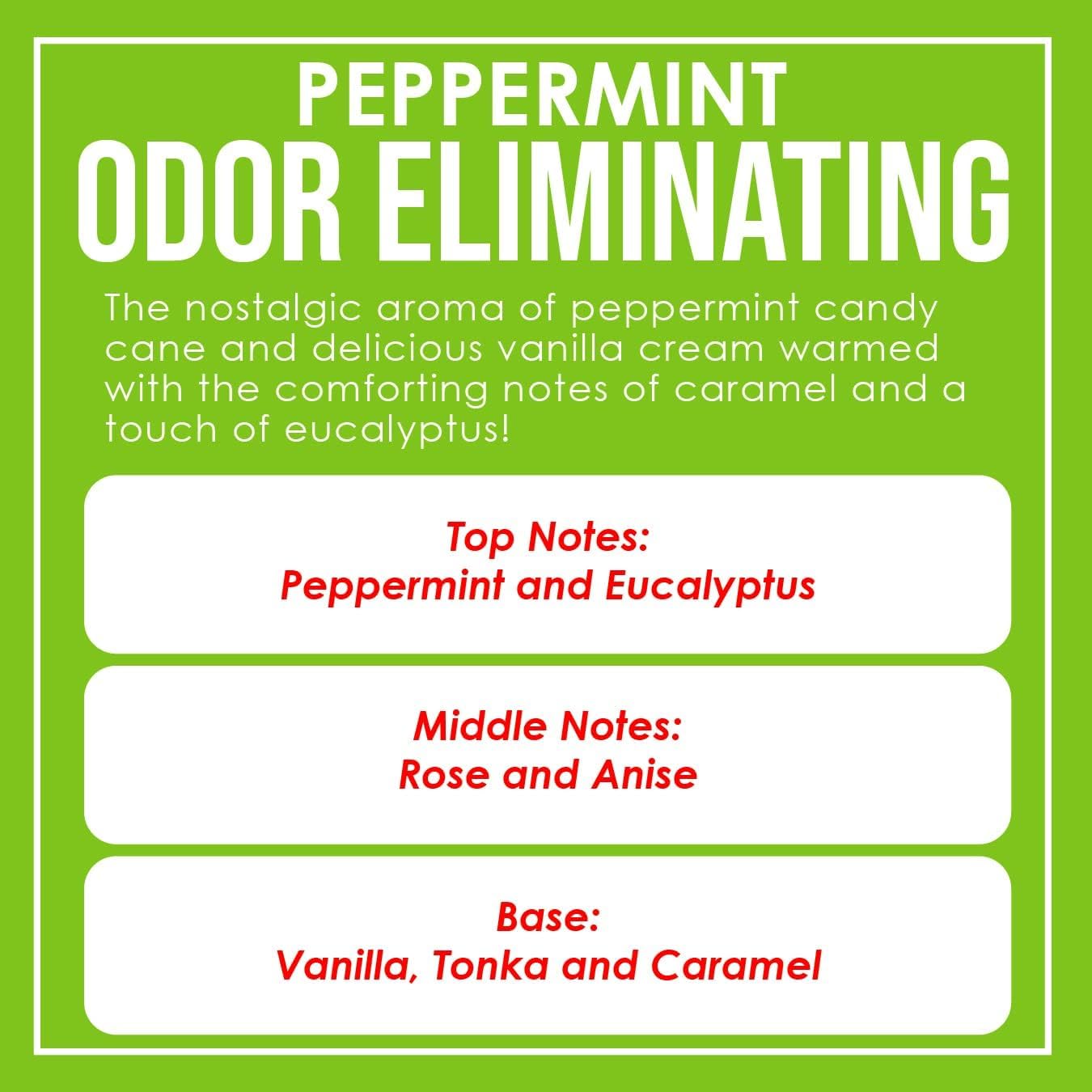 Dianne's Peppermint candle aroma-diffusion illustrates odor-eliminating action in small spaces.