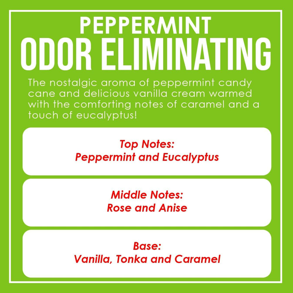 Dianne's Peppermint candle aroma-diffusion illustrates odor-eliminating action in small spaces.