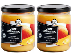 Dianne's Mango Two Pack odor-eliminating candle packfront showcases mango aroma for quick odor reduction.