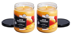 Dianne's Mango Two Pack wax-closeup reveals premium soy blend and clean burn.