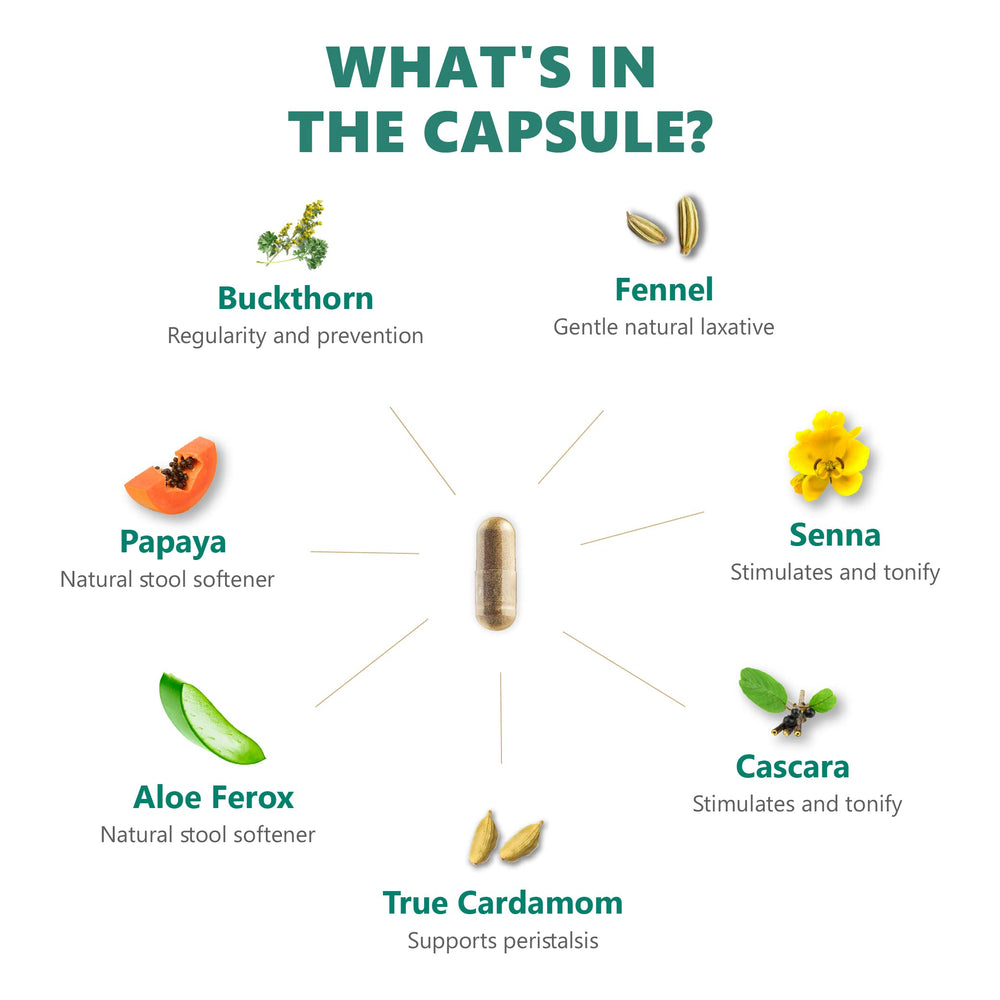 Digestic label ingredients scan emphasizes plant-based formulation and quality manufacturing