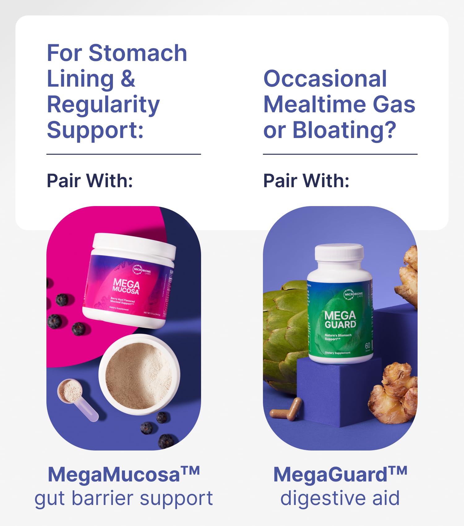 DigestMate label close-up referencing MegaSporeBiotics heritage
