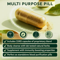 Dimmak Blood Purifier ingredients graphic featuring Andrographis and Coptis