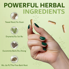 Dimmak Herbs Bone Mending Pills with Drynaria highlight traditional bone healing herb.