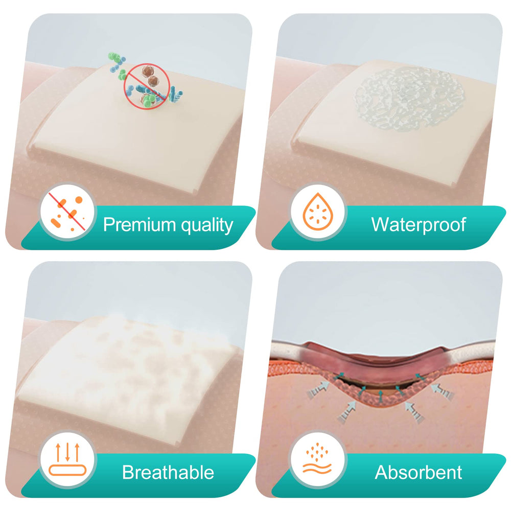 Dimora border adhesive edge secures the dressing with minimal trauma.