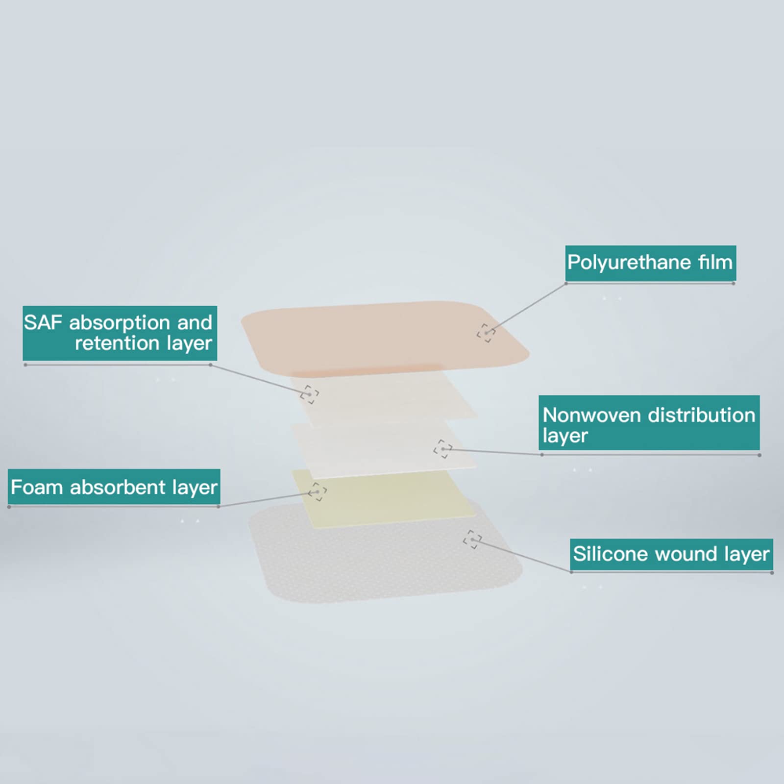 Dimora exudate-management pad keeps surface drier and reduces maceration risk.