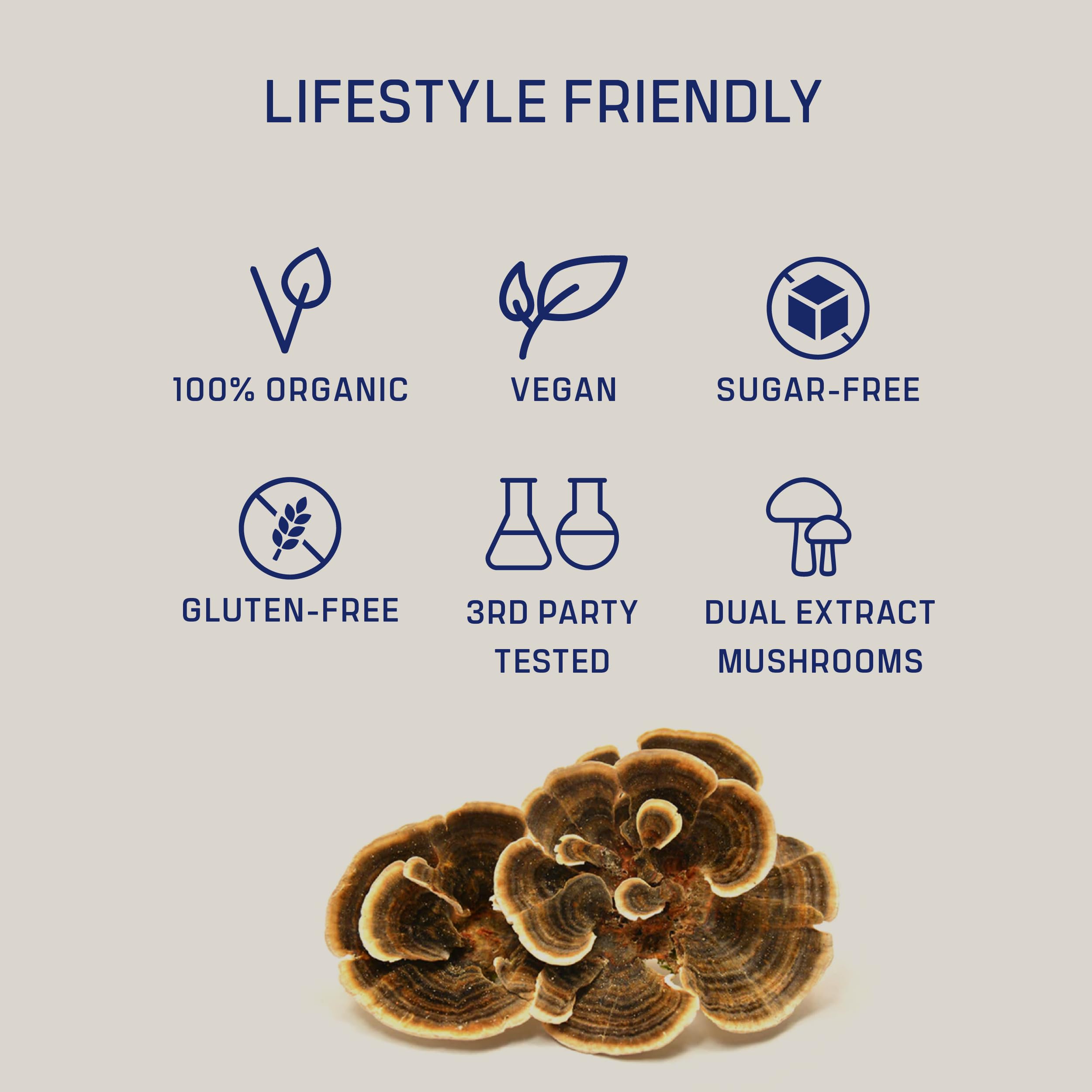 DIRTEA DAKKS-certified quality label indicating rigorous product standards.