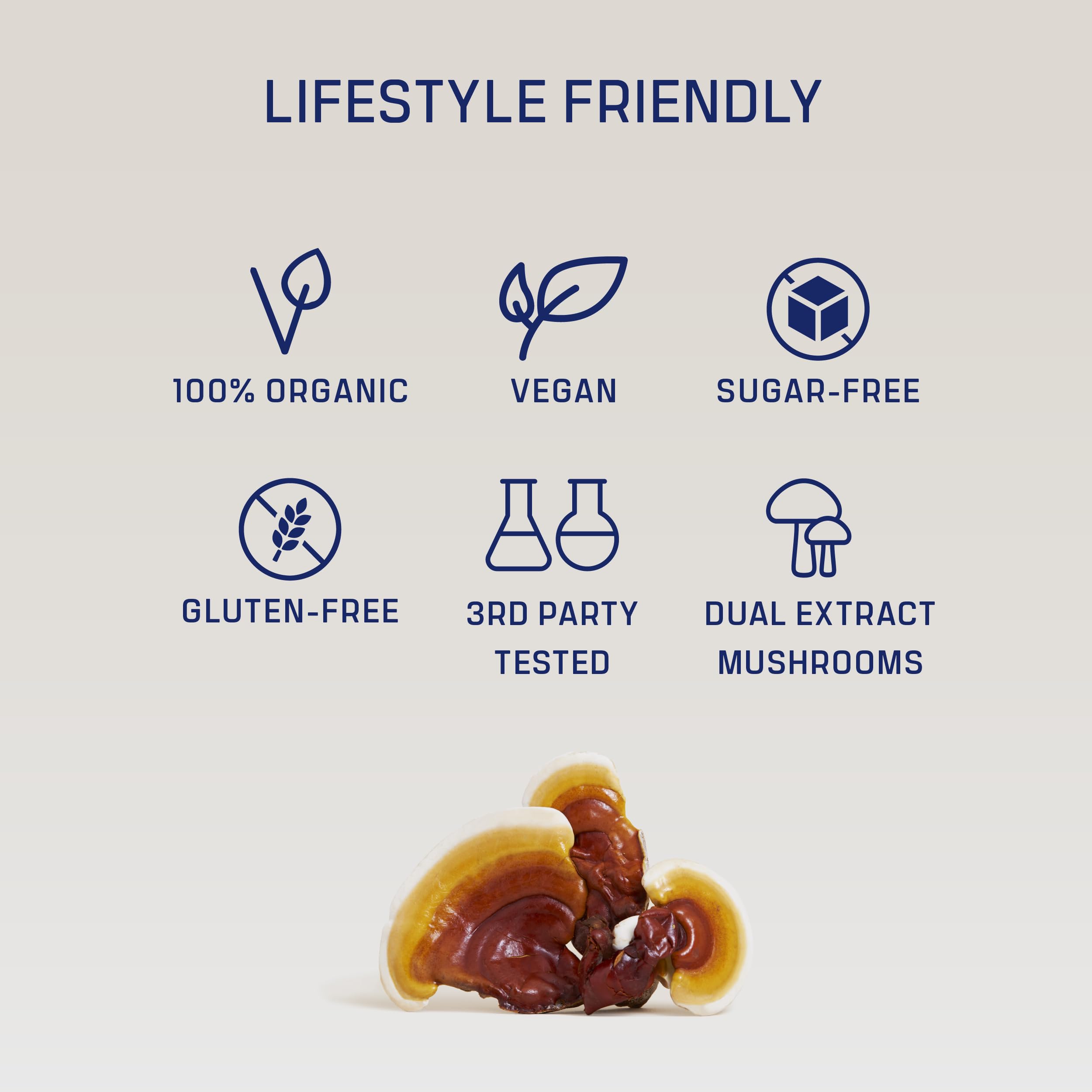DIRTEA Reishi powder packaging and label highlighting organic, vegan, non-GMO