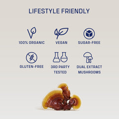 DIRTEA Reishi powder packaging and label highlighting organic, vegan, non-GMO