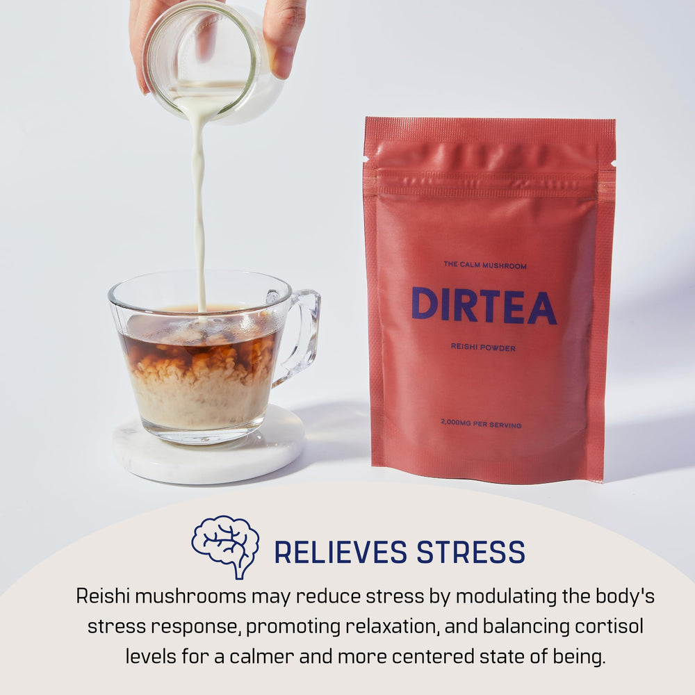 DIRTEA Reishi powder tea brew in cup with steam for soothing evenings
