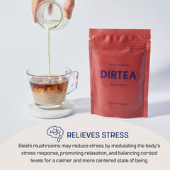 DIRTEA Reishi powder tea brew in cup with steam for soothing evenings