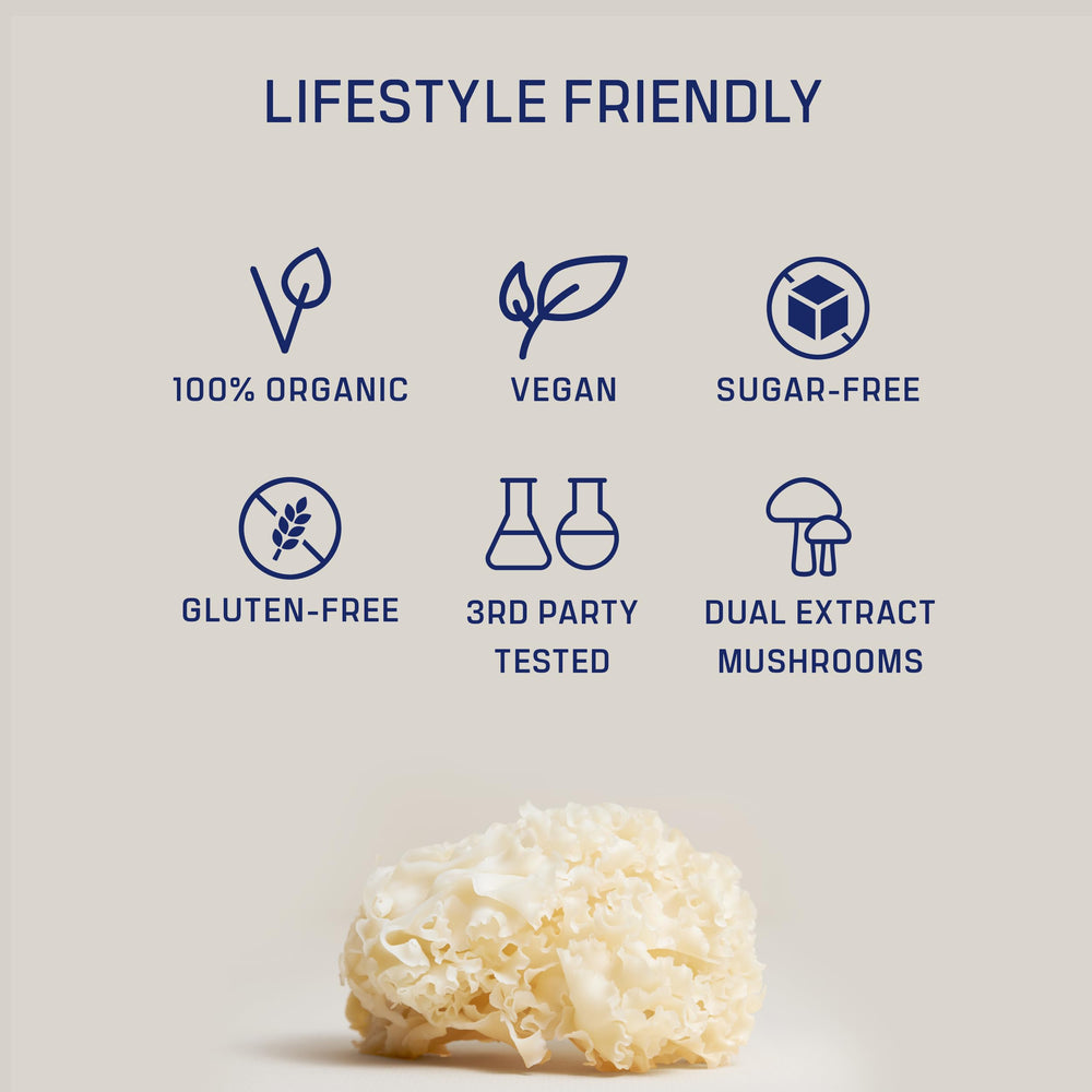 DIRTEA Tremella powder in smoothie scene for versatile integration.