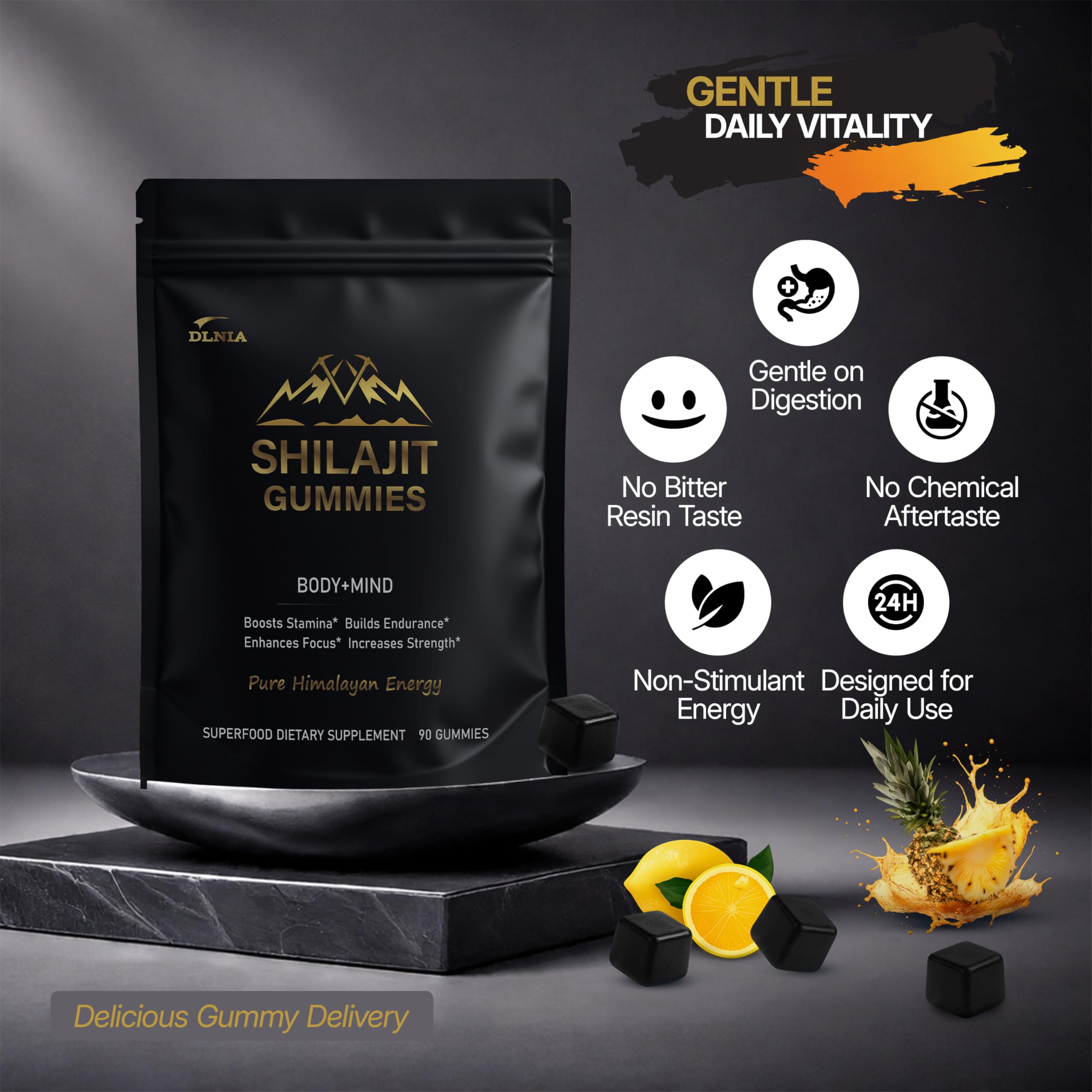 DLNIA 13-in-1 Shilajit Gummies ingredients panel highlighting balanced formula.