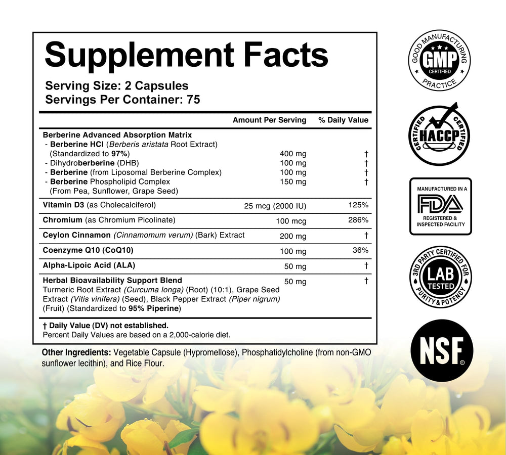 DLNIA Berberine capsules in a clear bottle illustrate the dual action formula with phytosome.