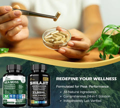 DLNIA Rhodiola Rosea capsules—stress resilience and focus on the go.