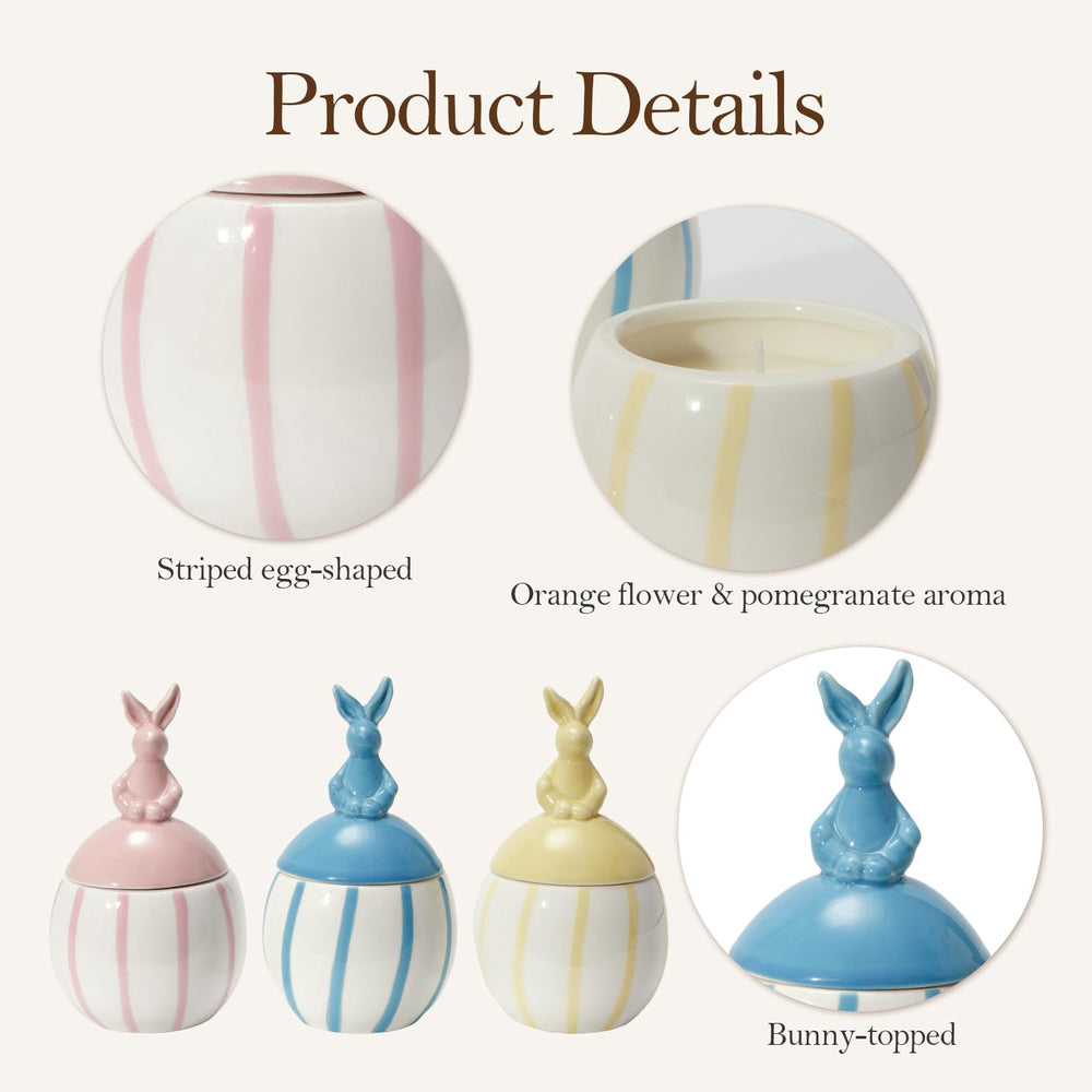 DN Deconation egg-shaped ceramic jar showcases elegant form.
