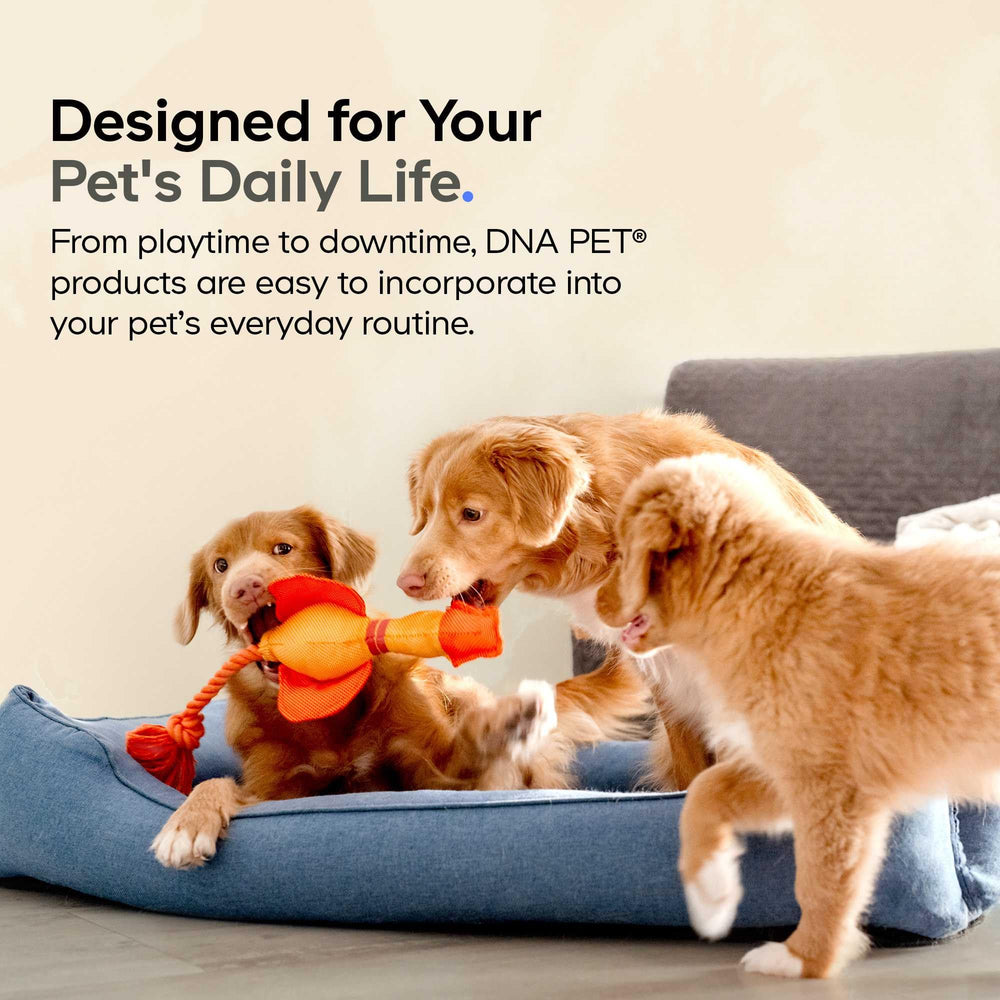 DNA PET bottle with graduated scoop for measured daily doses.