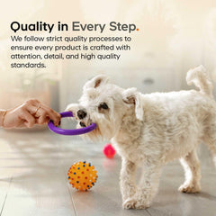Dog meal with DNA PET Algal Oil Complex supplement drizzle.