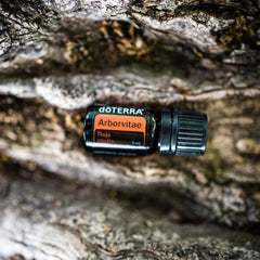 doTERRA Arborvitae meditation scene offering calming aroma during practice