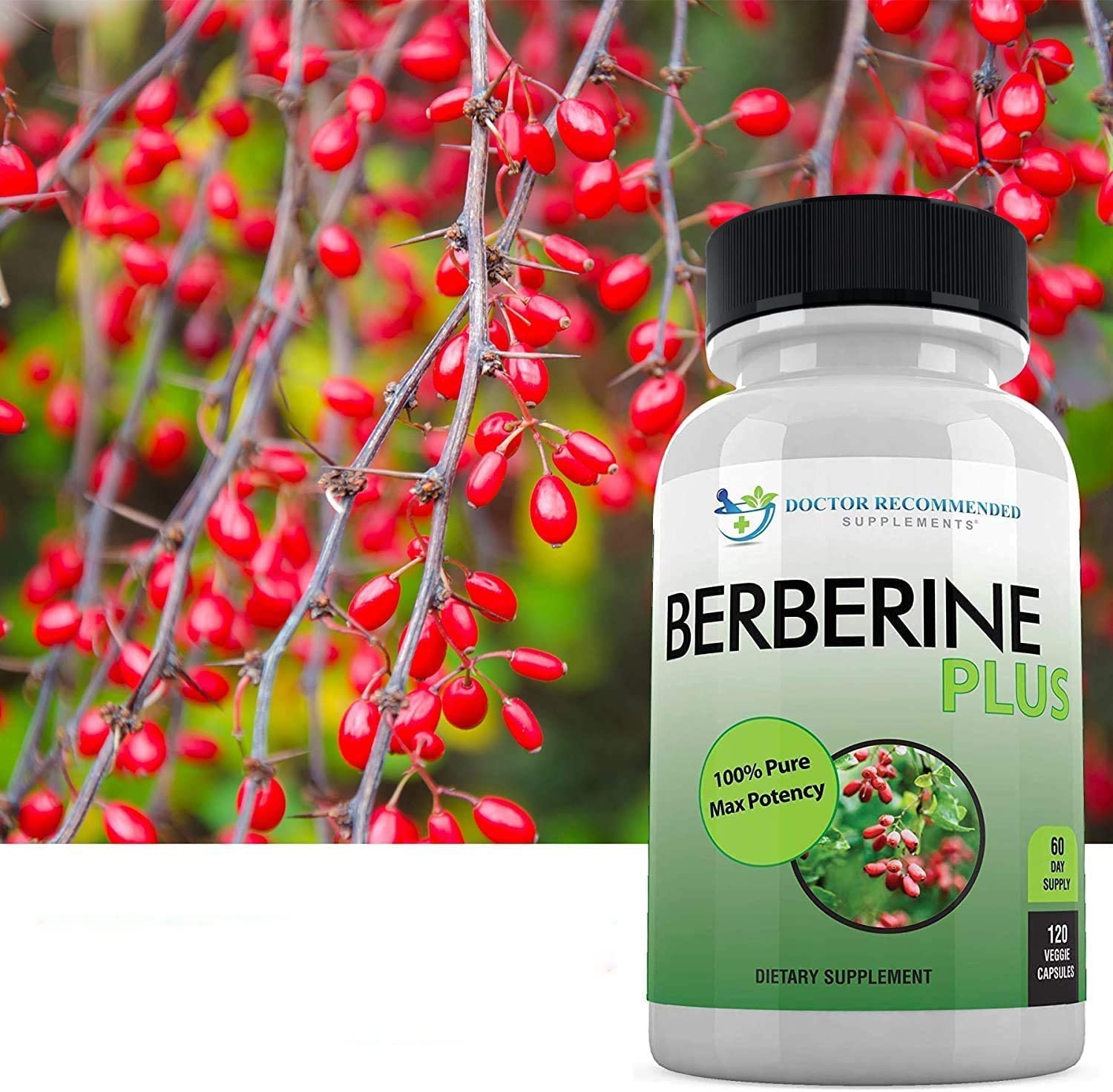 DOCTOR RECOMMENDED SUPPLEMENTS Berberine Plus pack display shows 2-count bottle and generous serving.