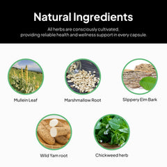Packaging box shows naturopath-formulated approach and quality herbs.
