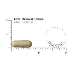 Closeup of DOCTORS' PREFERRED Liver+ capsules for easy daily supplementation