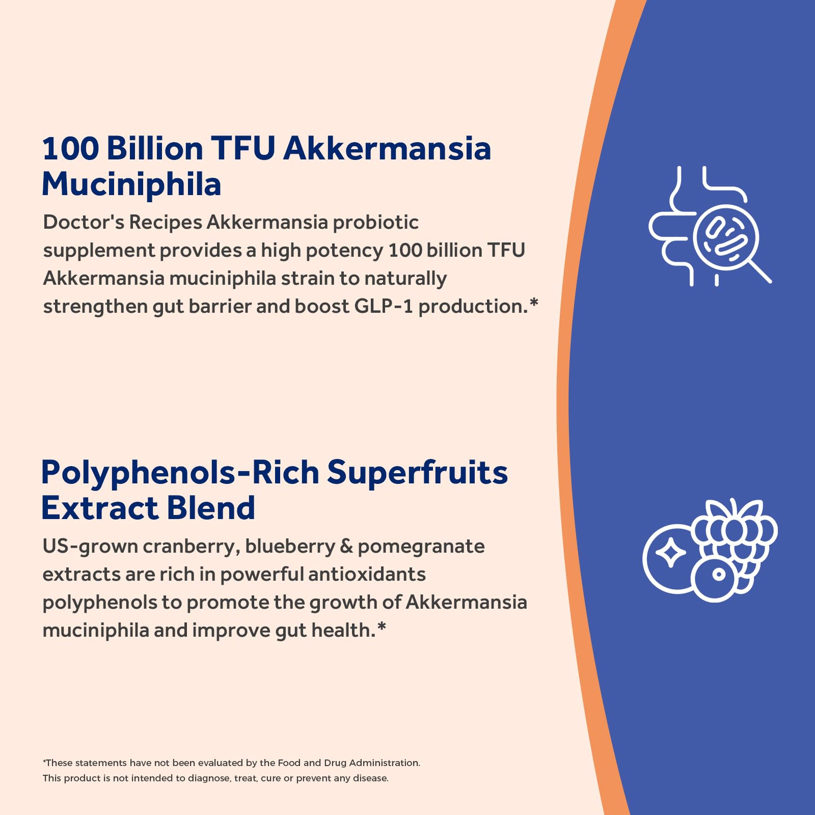 Doctor's Recipes blueberry extract powder adds polyphenols supporting gut balance.