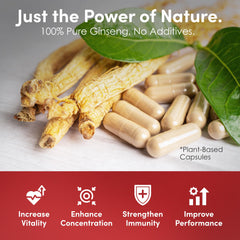 Dongjieum capsules highlight enhanced ginsenosides for resilience under stress.