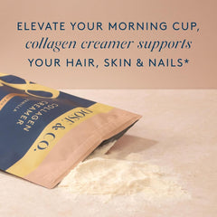 Latte with DOSE & CO Vanilla Collagen Creamer adding vanilla flavor and body.