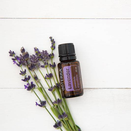doTERRA Lavender bottle cap shown, ready for safe aroma routines