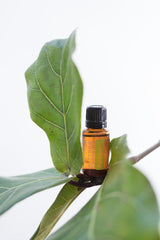 DIY blend with Petitgrain oil for personalized fragrance.