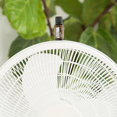 doTERRA Purify bottle label closeup highlights the blend s air purifying oils