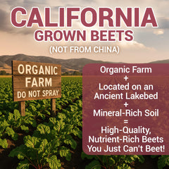 Dr. Berg beet powder label and seal indicating organic quality