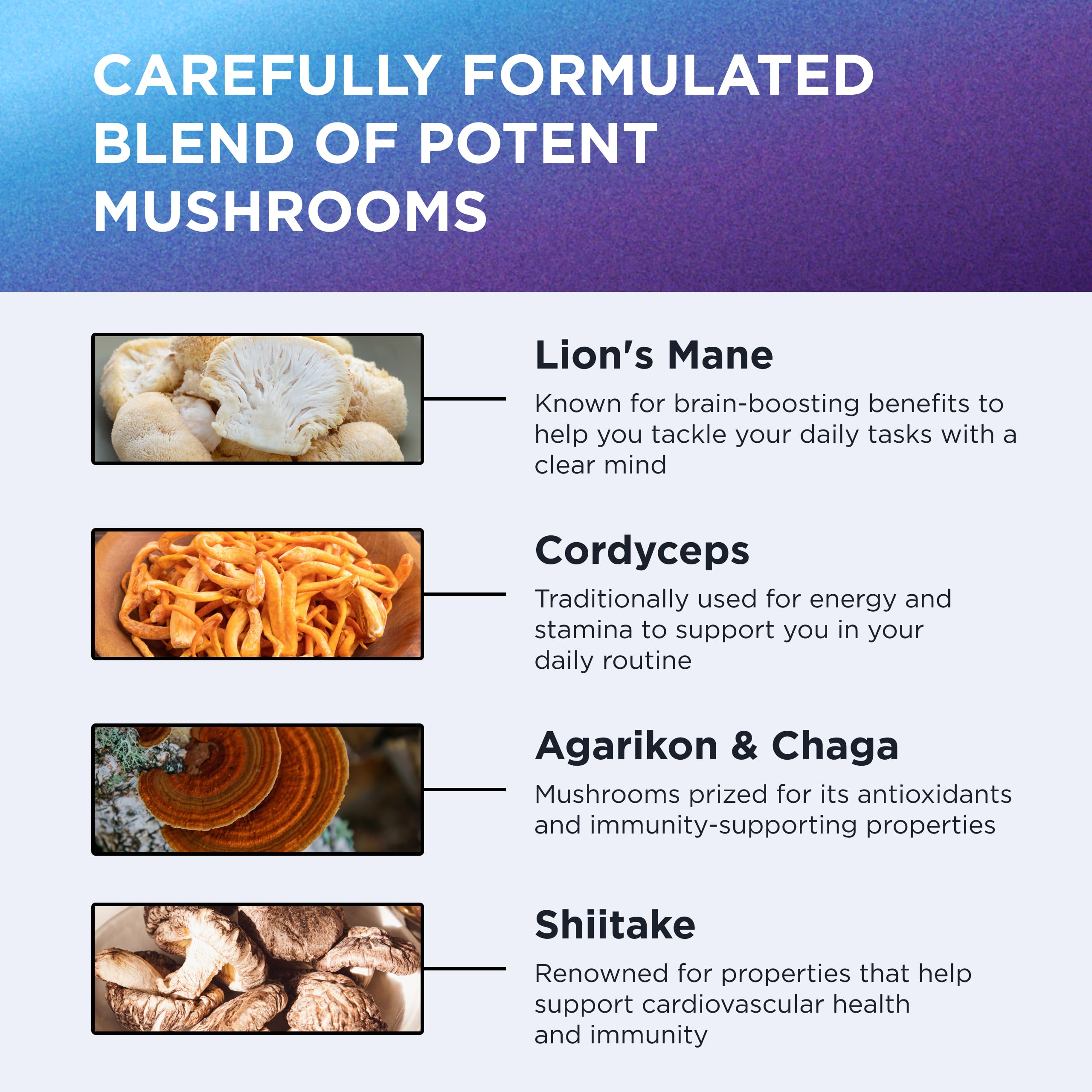 DR. EMIL NUTRITION 10 Mushroom ingredients panel highlighting ten mushroom extracts