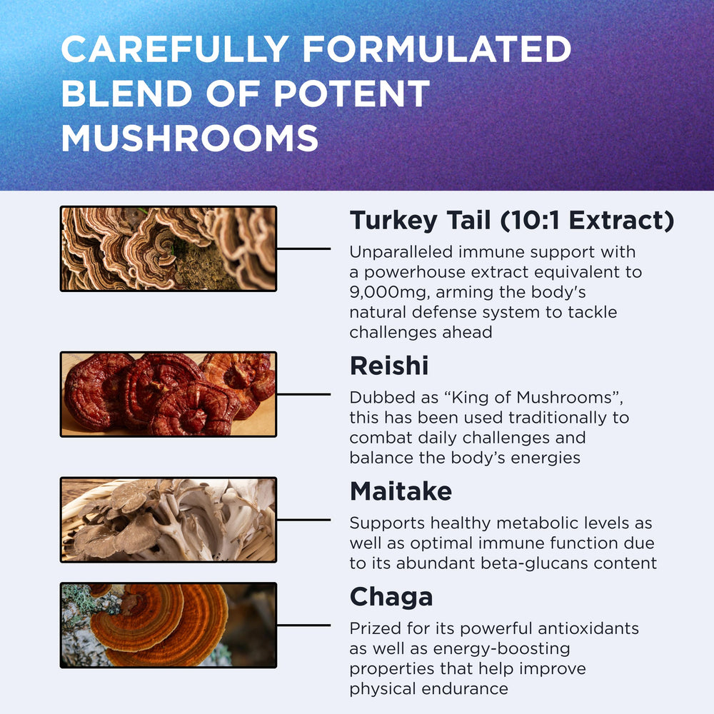 Ingredients panel highlights high-dose extracts for immune and gut balance potential.