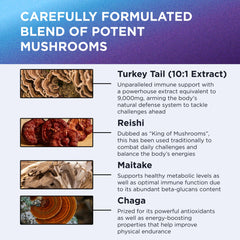 Ingredients panel highlights high-dose extracts for immune and gut balance potential.