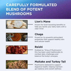 DR. EMIL NUTRITION Hot water extraction preserves nutrients in Lion’s Mane powder.