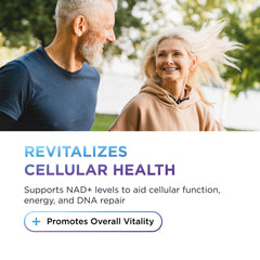 NAD+ Boost L-Theanine ingredient for calm focus