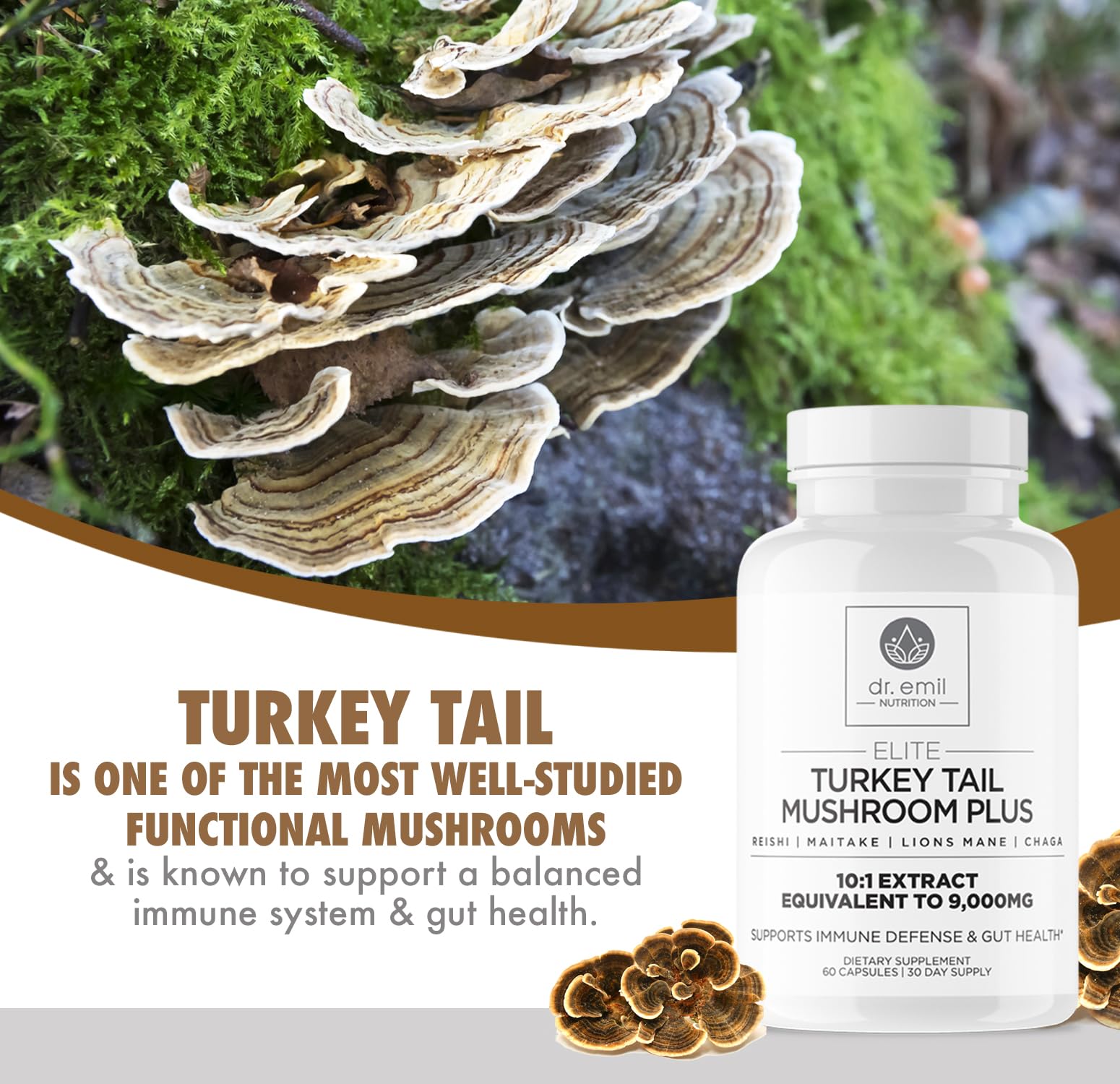 DR. EMIL NUTRITION Turkey Tail blend label highlights a 5-mushroom complex.