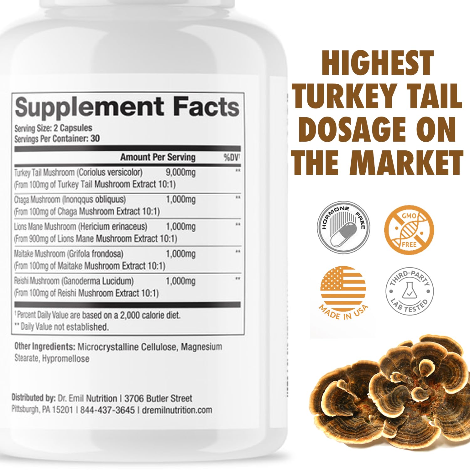 Serving directions card for DR. EMIL NUTRITION Turkey Tail capsules in daily routine.