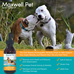 DR.GARBER'S Maxwell Pet hip & joint label closeup highlights natural biotherapy blend.