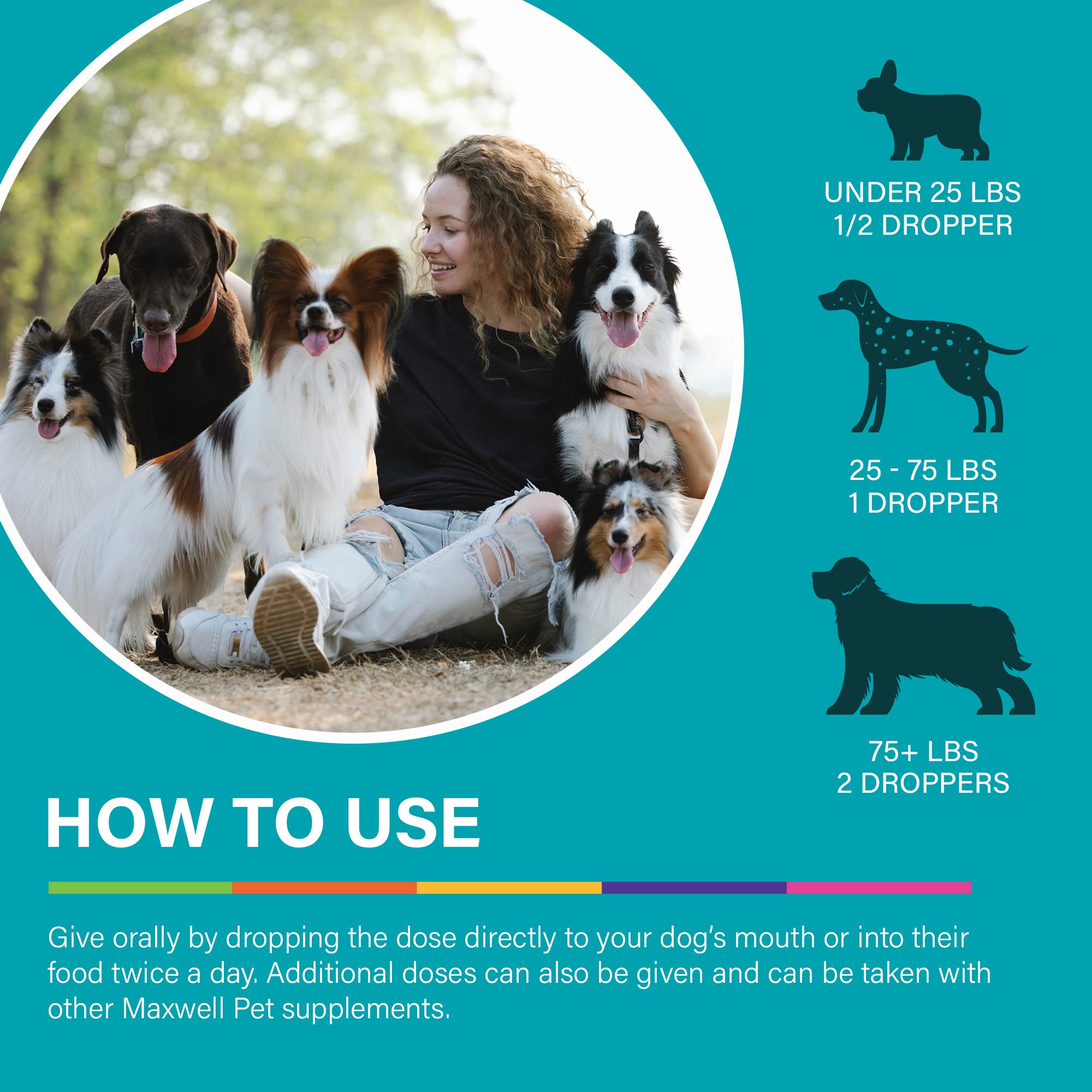 DR.GARBER'S Maxwell Pet hero image portrays a calm dog thriving with joint support.