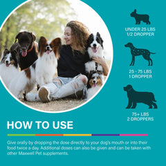 DR.GARBER'S Maxwell Pet hero image portrays a calm dog thriving with joint support.