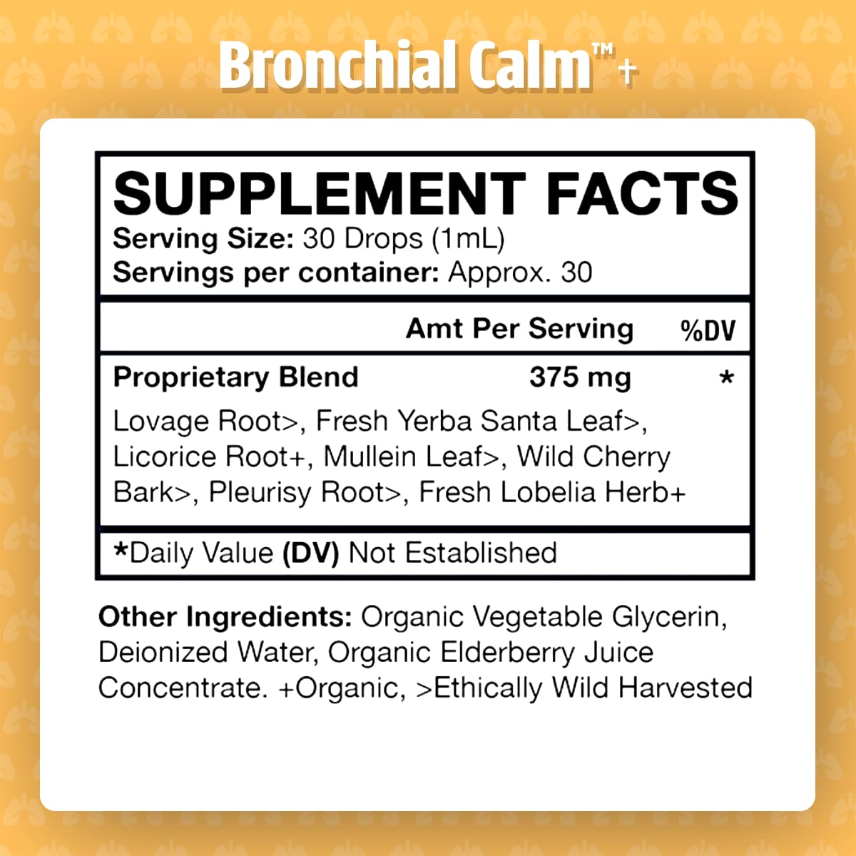Dr. Green Mom Bronchial Calm Kids elderberry concentrate in the mix.
