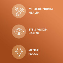 Dr Mercola Curcumin Advanced turmeric origin close-up for high purity