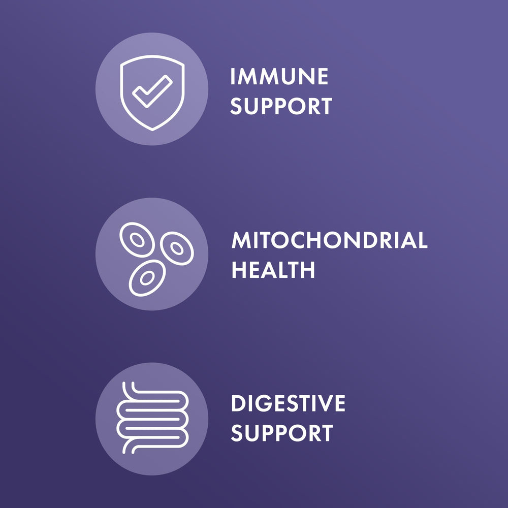 Dr. Mercola digestive enzymes package promotes gut comfort after meals