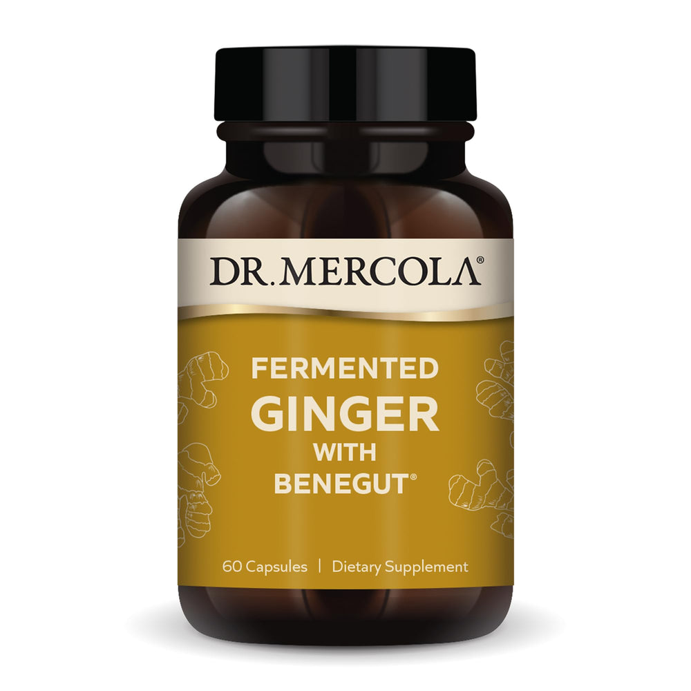 Dr. Mercola Fermented Ginger with Benegut bottle on countertop suggesting digestive support