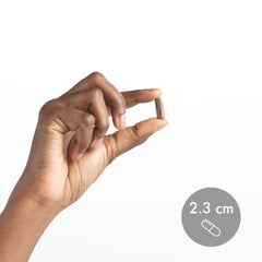 Freeze-drying icon illustrates nutrient preservation in Dr. Mercola product.