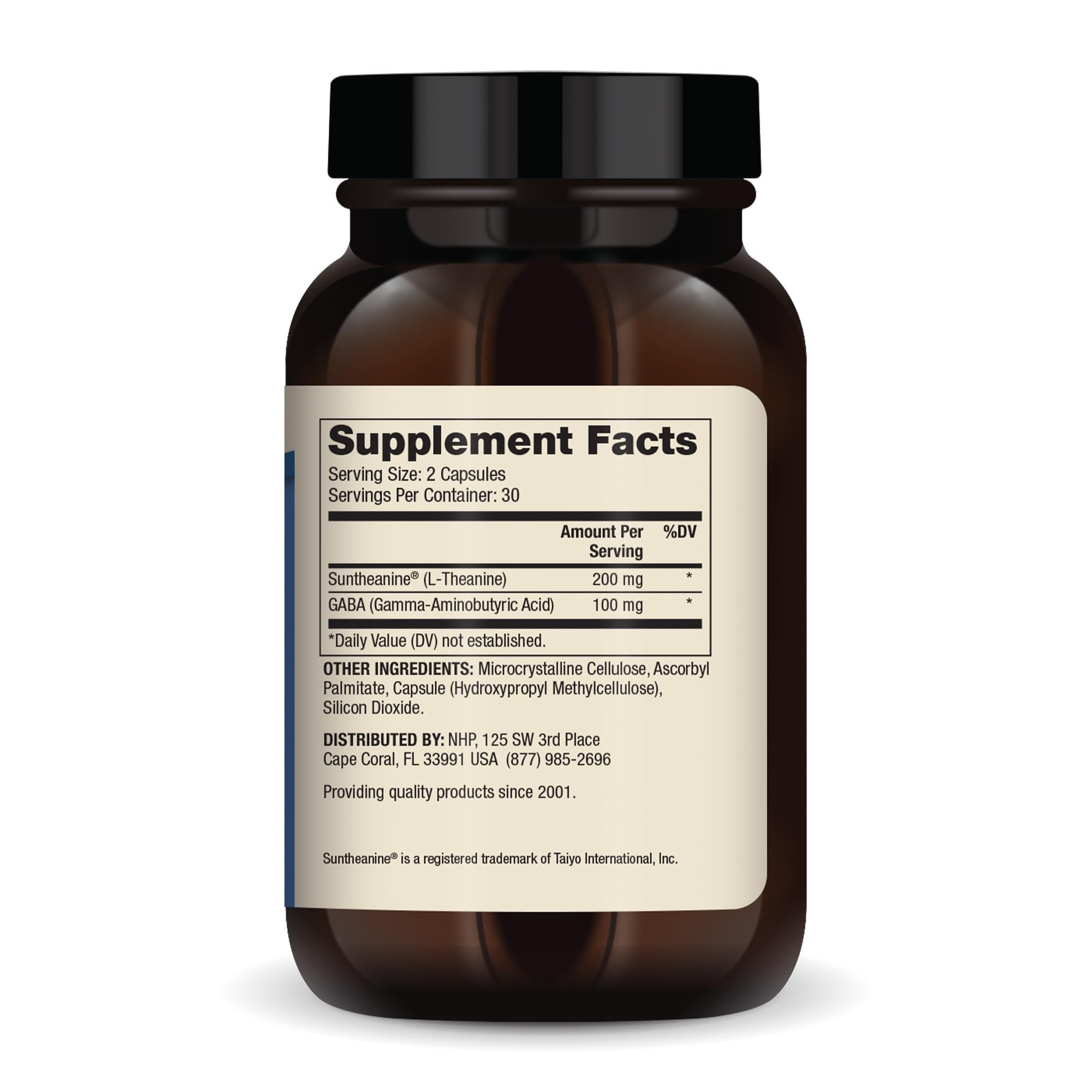 Close-up of Dr. Mercola L-Theanine Plus GABA capsules showing texture and form.